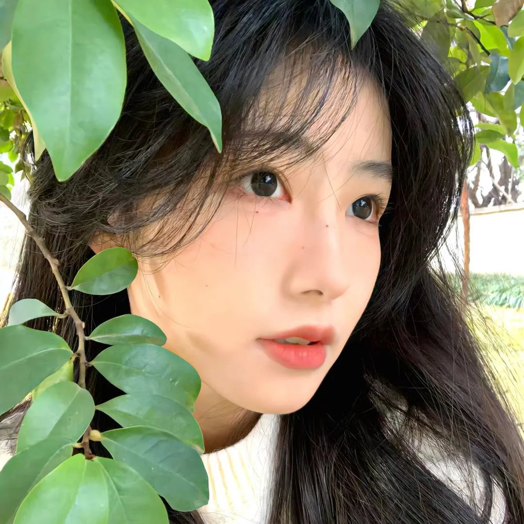 左岸